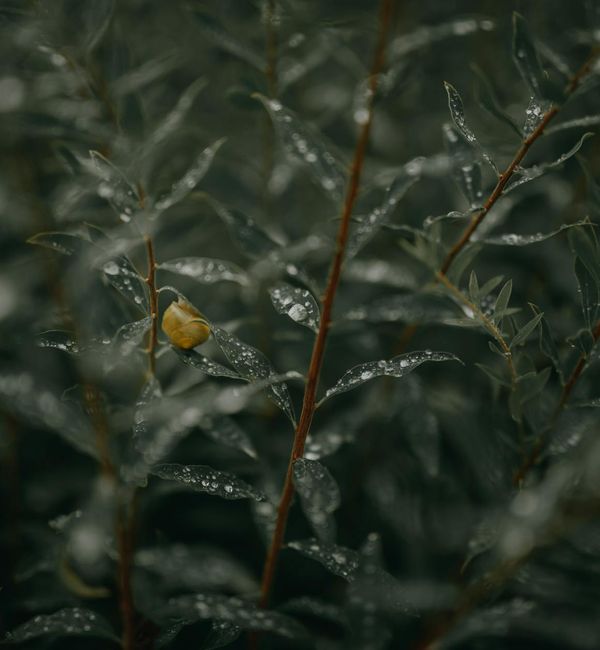 Person feeling serene and revitalized after a cardio session.